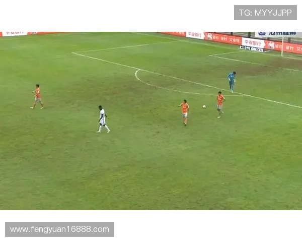 体育四大球类联赛（四大体育赛事是什么）sports