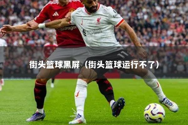 街头篮球黑屏(街头篮球运行不了)