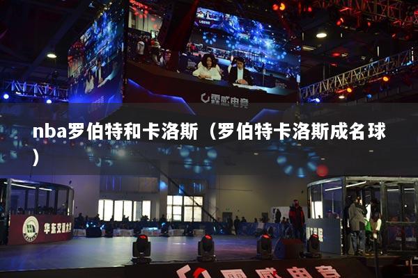 nba罗伯特和卡洛斯(罗伯特卡洛斯成名球)