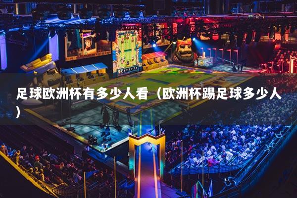 足球欧洲杯有多少人看(欧洲杯踢足球多少人)