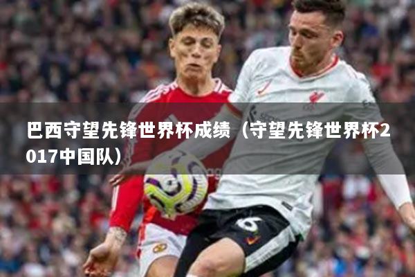 巴西守望先锋世界杯成绩(守望先锋世界杯2017中国队)