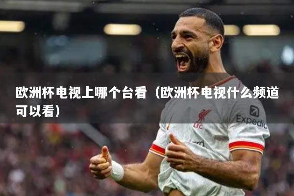 欧洲杯电视上哪个台看（欧洲杯电视什么频道可以看）