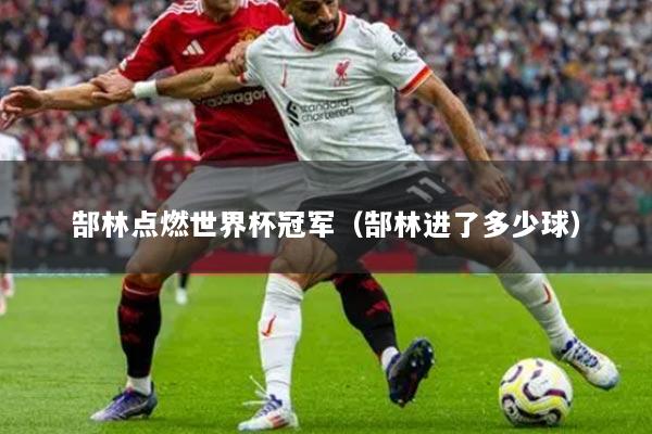 郜林点燃世界杯冠军(郜林进了多少球)