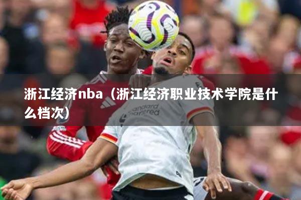 浙江经济nba(浙江经济职业技术学院是什么档次)