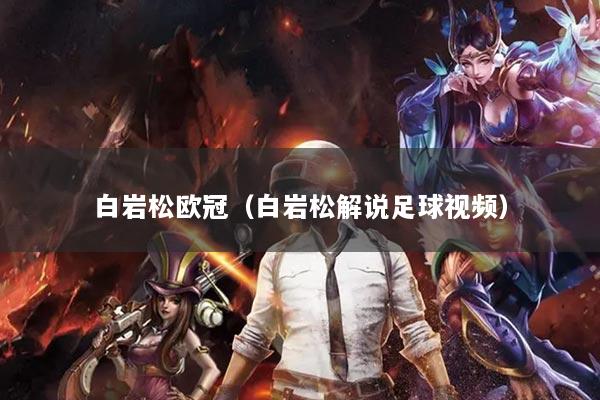白岩松欧冠(白岩松解说足球视频)