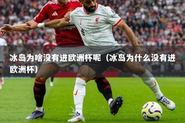 冰岛为啥没有进欧洲杯呢(冰岛为什么没有进欧洲杯)