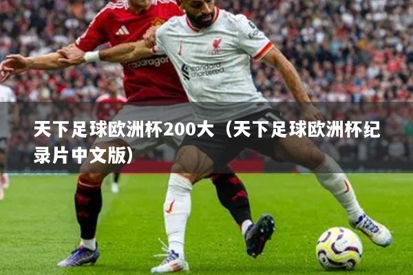 天下足球欧洲杯200大(天下足球欧洲杯纪录片中文版)