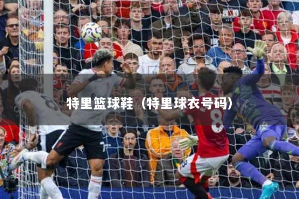 特里篮球鞋(特里球衣号码)