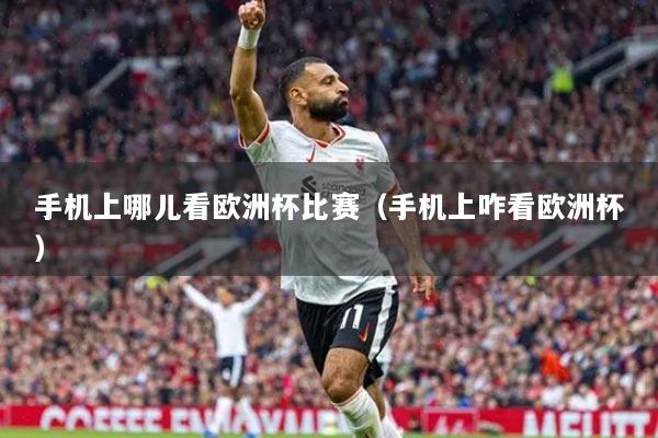 手机上哪儿看欧洲杯比赛(手机上咋看欧洲杯)