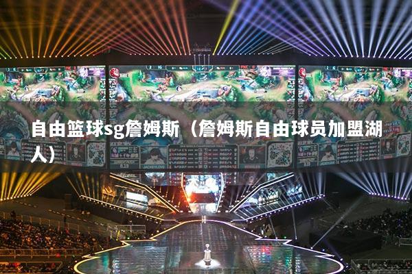 自由篮球sg詹姆斯(詹姆斯自由球员加盟湖人)