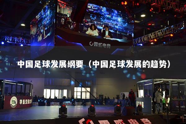 中国足球发展纲要(中国足球发展的趋势)