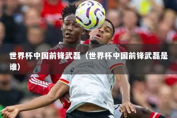 世界杯中国前锋武磊(世界杯中国前锋武磊是谁)