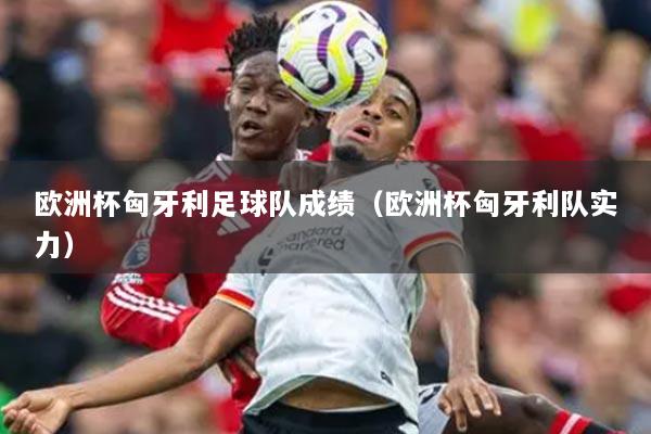 欧洲杯匈牙利足球队成绩(欧洲杯匈牙利队实力)