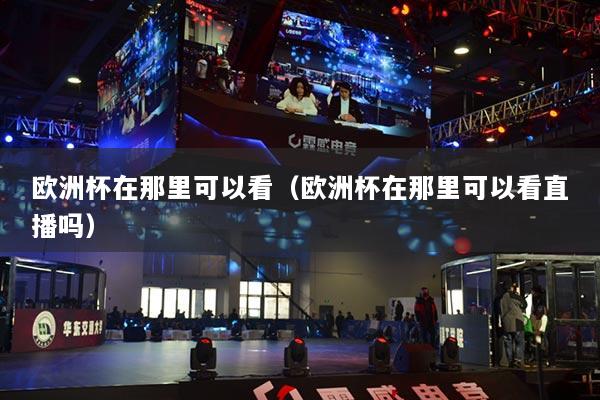 欧洲杯在那里可以看(欧洲杯在那里可以看直播吗)