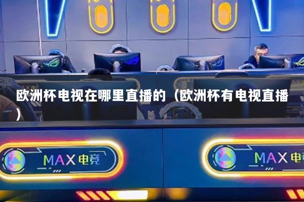 欧洲杯电视在哪里直播的（欧洲杯有电视直播）