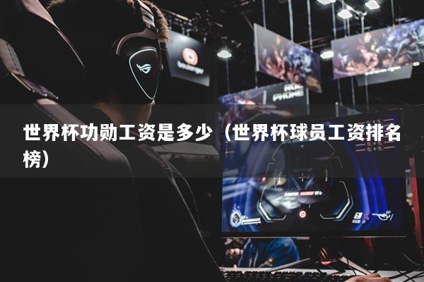 世界杯功勋工资是多少(世界杯球员工资排名榜)