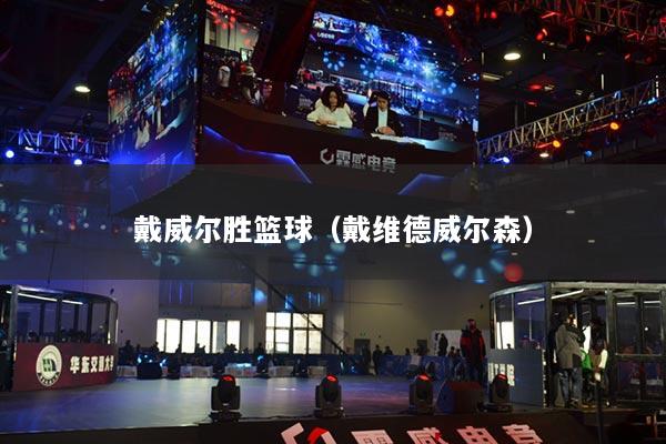 戴威尔胜篮球(戴维德威尔森)