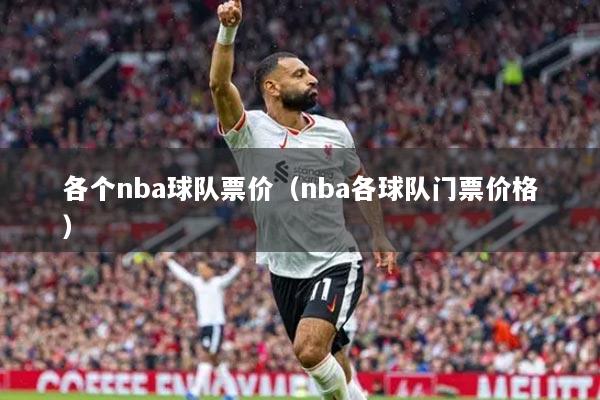 各个nba球队票价(nba各球队门票价格)