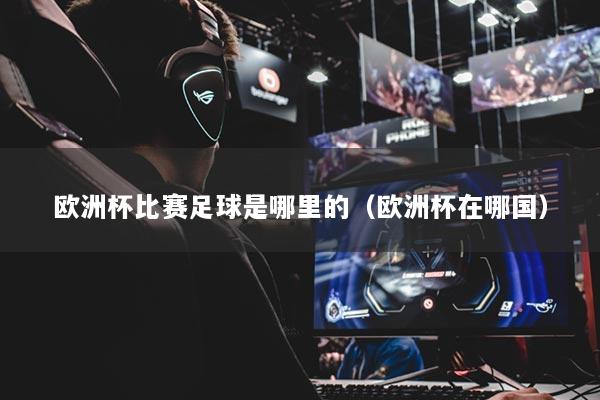 欧洲杯比赛足球是哪里的(欧洲杯在哪国)