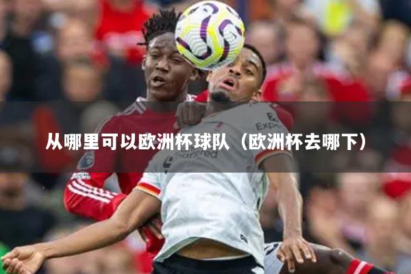 从哪里可以欧洲杯球队(欧洲杯去哪下)