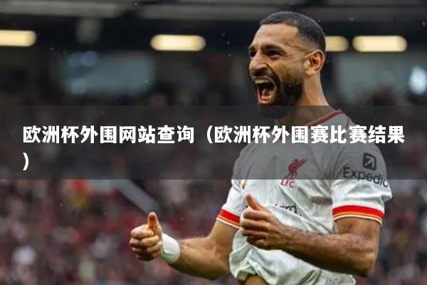 欧洲杯外围网站查询(欧洲杯外围赛比赛结果)
