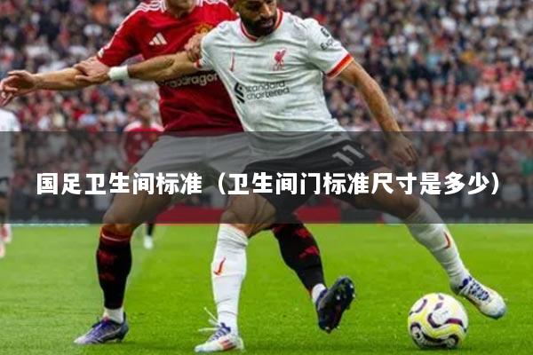 国足卫生间标准(卫生间门标准尺寸是多少)