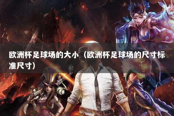 欧洲杯足球场的大小（欧洲杯足球场的尺寸标准尺寸）