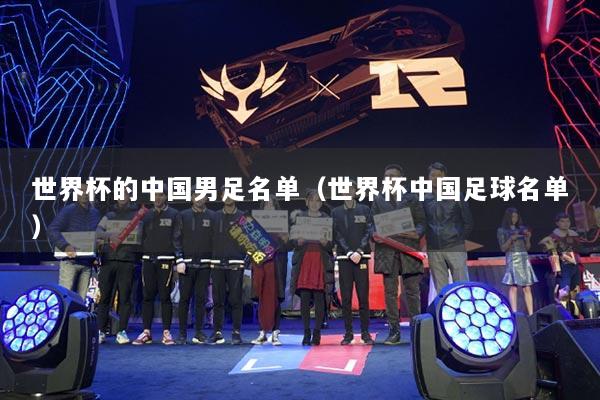 世界杯的中国男足名单（世界杯中国足球名单）