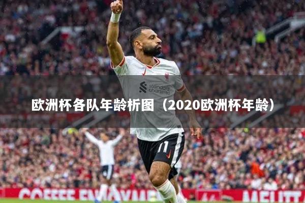 欧洲杯各队年龄析图（2020欧洲杯年龄）