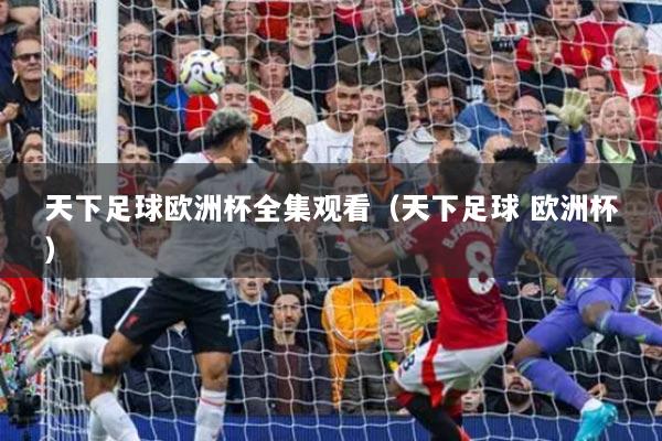 天下足球欧洲杯全集观看（天下足球 欧洲杯）
