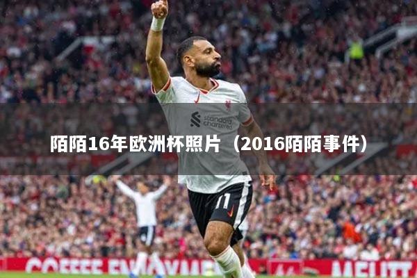 陌陌16年欧洲杯照片（2016陌陌事件）