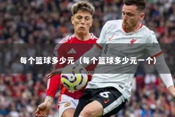 每个篮球多少元（每个篮球多少元一个）