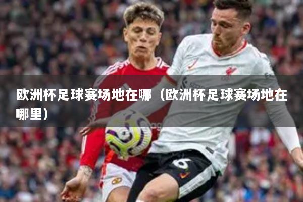欧洲杯足球赛场地在哪（欧洲杯足球赛场地在哪里）