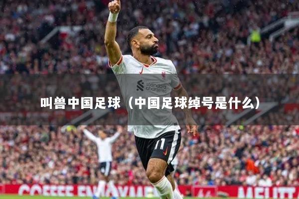 叫兽中国足球（中国足球绰号是什么）